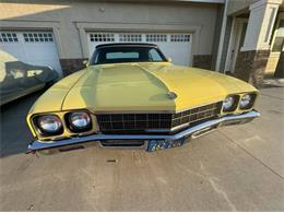 1972 Buick Skylark (CC-2069159) for sale in Cadillac, Michigan