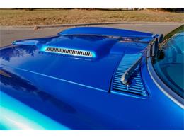 1966 Chevrolet Corvette Stingray (CC-2069181) for sale in Ramsey, Minnesota