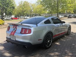 2011 Shelby GT500 (CC-2069182) for sale in Reno, Nevada
