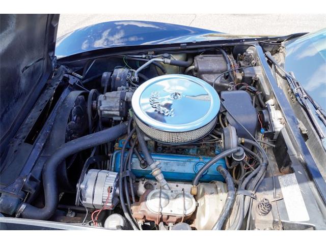 1978 Chevrolet Corvette (Indy 500 Pace Car) (CC-2069185) for sale in Ramsey, Minnesota
