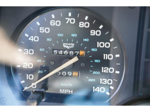 1978 Chevrolet Corvette (Indy 500 Pace Car) (CC-2069185) for sale in Ramsey, Minnesota