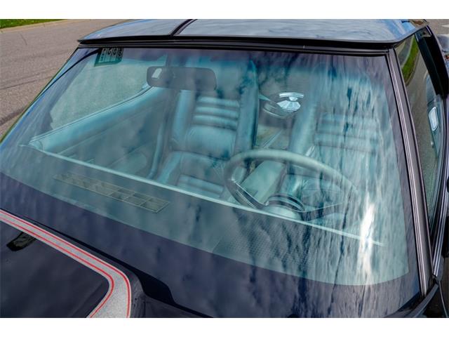 1978 Chevrolet Corvette (Indy 500 Pace Car) (CC-2069185) for sale in Ramsey, Minnesota