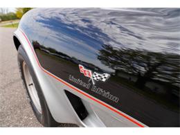1978 Chevrolet Corvette (Indy 500 Pace Car) (CC-2069185) for sale in Ramsey, Minnesota