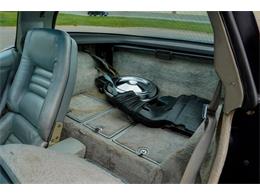1978 Chevrolet Corvette (Indy 500 Pace Car) (CC-2069185) for sale in Ramsey, Minnesota