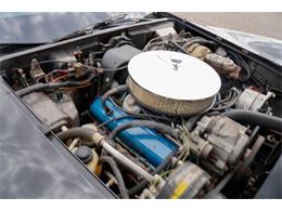 1978 Chevrolet Corvette (Indy 500 Pace Car) (CC-2069185) for sale in Ramsey, Minnesota