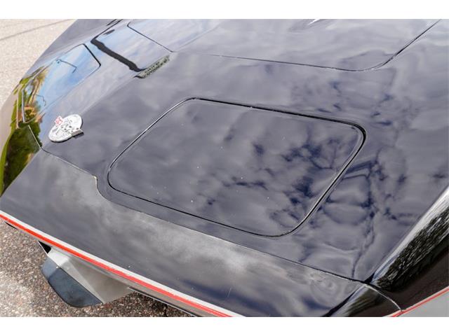 1978 Chevrolet Corvette (Indy 500 Pace Car) (CC-2069185) for sale in Ramsey, Minnesota