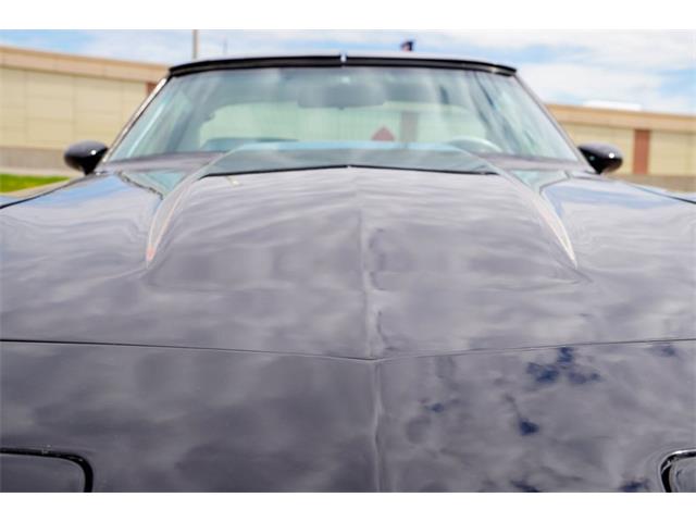 1978 Chevrolet Corvette (Indy 500 Pace Car) (CC-2069185) for sale in Ramsey, Minnesota