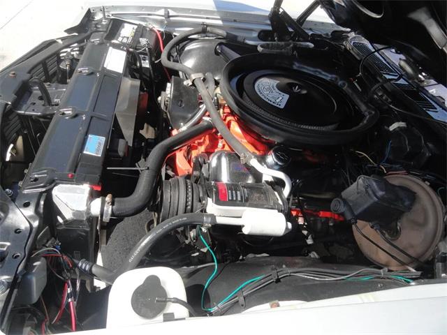 1971 Chevrolet El Camino SS (CC-2069200) for sale in Sarasota, Florida