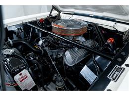 1965 Shelby GT350 (CC-2069201) for sale in Halton Hills, Ontario