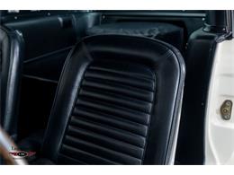 1965 Shelby GT350 (CC-2069201) for sale in Halton Hills, Ontario