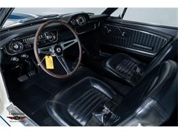 1965 Shelby GT350 (CC-2069201) for sale in Halton Hills, Ontario