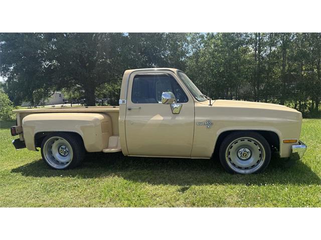 1987 Chevrolet Pickup (CC-2069246) for sale in Biloxi, Mississippi