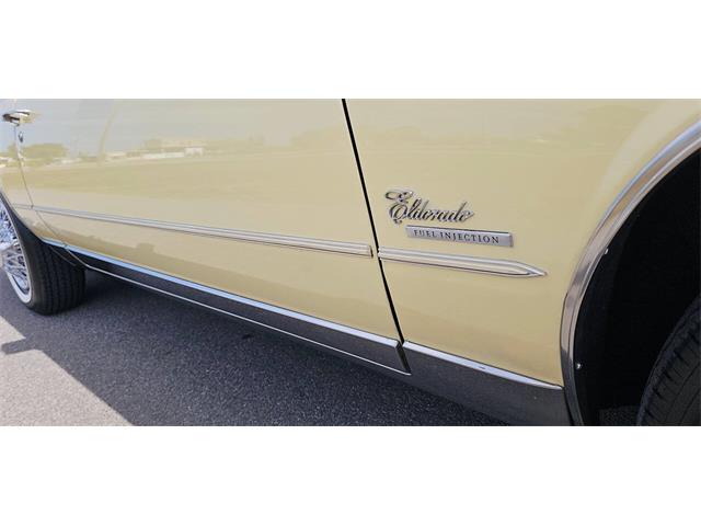1980 Cadillac Eldorado (CC-2069262) for sale in Hudson, Florida