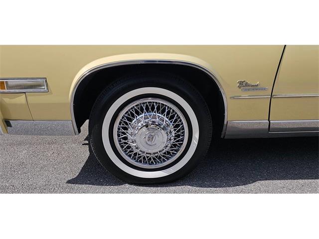 1980 Cadillac Eldorado (CC-2069262) for sale in Hudson, Florida