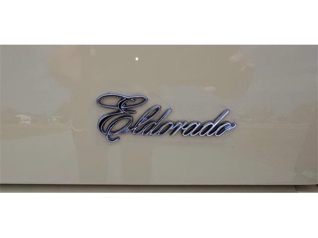 1980 Cadillac Eldorado (CC-2069262) for sale in Hudson, Florida