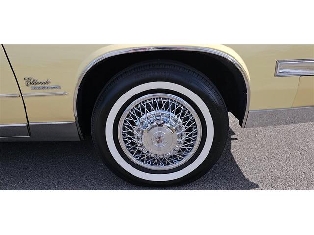 1980 Cadillac Eldorado (CC-2069262) for sale in Hudson, Florida