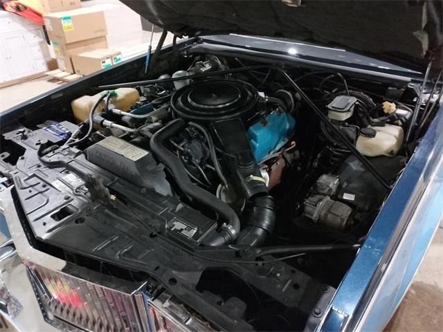 1981 Cadillac Seville (CC-2069366) for sale in  Puslinch, Ontario