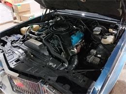 1981 Cadillac Seville (CC-2069366) for sale in  Puslinch, Ontario