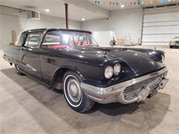 1959 Ford Thunderbird (CC-2069376) for sale in  Puslinch, Ontario