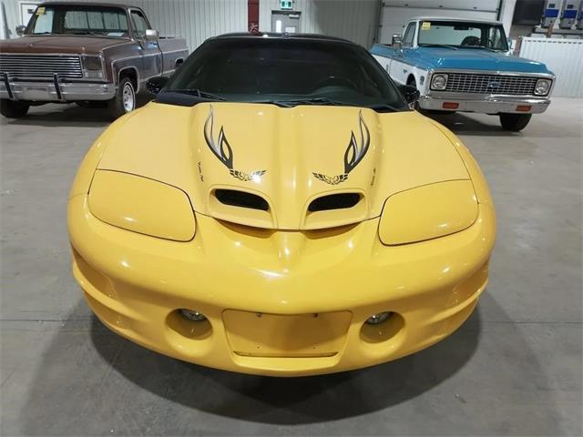 2002 Pontiac Firebird Trans Am WS6 (CC-2069395) for sale in  Puslinch, Ontario