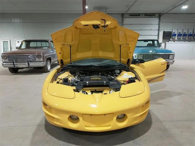 2002 Pontiac Firebird Trans Am WS6 (CC-2069395) for sale in  Puslinch, Ontario