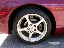 2003 Chevrolet Corvette (CC-2069422) for sale in palmer, Massachusetts