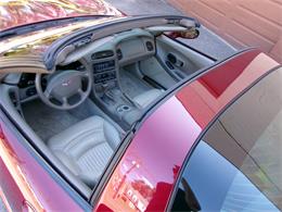 2003 Chevrolet Corvette (CC-2069422) for sale in palmer, Massachusetts