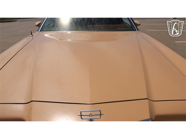 1978 Ford Thunderbird (CC-2069456) for sale in Tulsa, Oklahoma