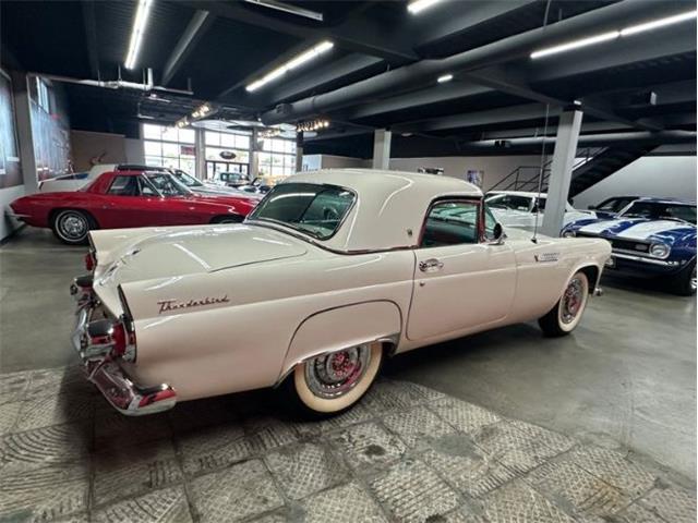1955 Ford Thunderbird (CC-2069490) for sale in Cadillac, Michigan