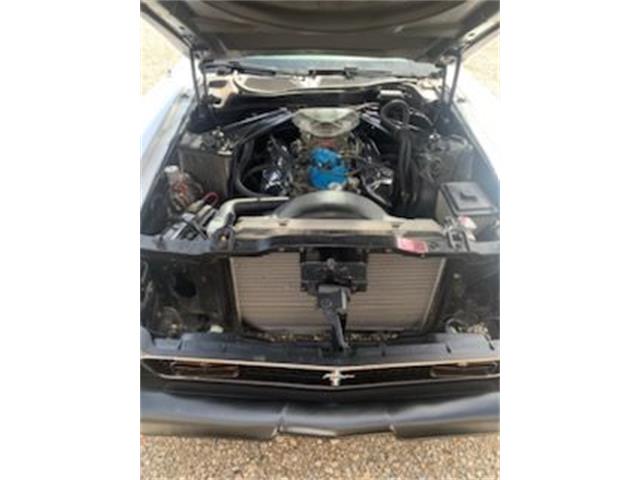 1972 Ford Mustang (CC-2069491) for sale in Cadillac, Michigan