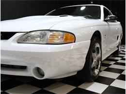 1996 Ford Mustang SVT Cobra (CC-2069506) for sale in Addison, Illinois