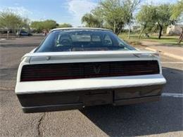 1983 Pontiac Firebird (CC-2069512) for sale in Cadillac, Michigan