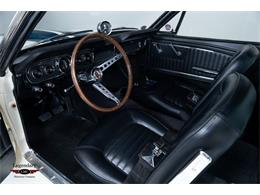 1966 Shelby GT350 (CC-2069554) for sale in Halton Hills, Ontario