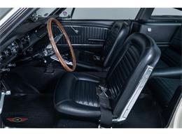 1966 Shelby GT350 (CC-2069554) for sale in Halton Hills, Ontario