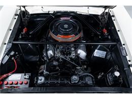 1966 Shelby GT350 (CC-2069554) for sale in Halton Hills, Ontario