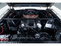 1966 Shelby GT350 (CC-2069554) for sale in Halton Hills, Ontario