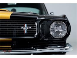 1966 Shelby GT350 (CC-2069556) for sale in Halton Hills, Ontario