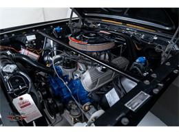 1966 Shelby GT350 (CC-2069556) for sale in Halton Hills, Ontario