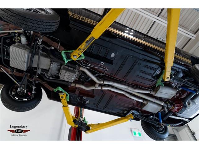 1966 Shelby GT350 (CC-2069556) for sale in Halton Hills, Ontario