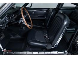 1966 Shelby GT350 (CC-2069556) for sale in Halton Hills, Ontario