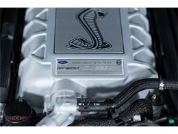 2020 Shelby GT500 (CC-2069573) for sale in Halton Hills, Ontario