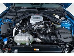 2020 Shelby GT500 (CC-2069573) for sale in Halton Hills, Ontario