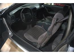 1999 Chevrolet Camaro (CC-2069586) for sale in Downers Grove, Illinois