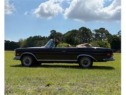 1971 Mercedes-Benz 280SE (CC-2069654) for sale in Boca Raton, Florida