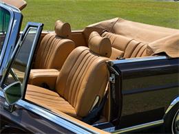 1971 Mercedes-Benz 280SE (CC-2069654) for sale in Boca Raton, Florida
