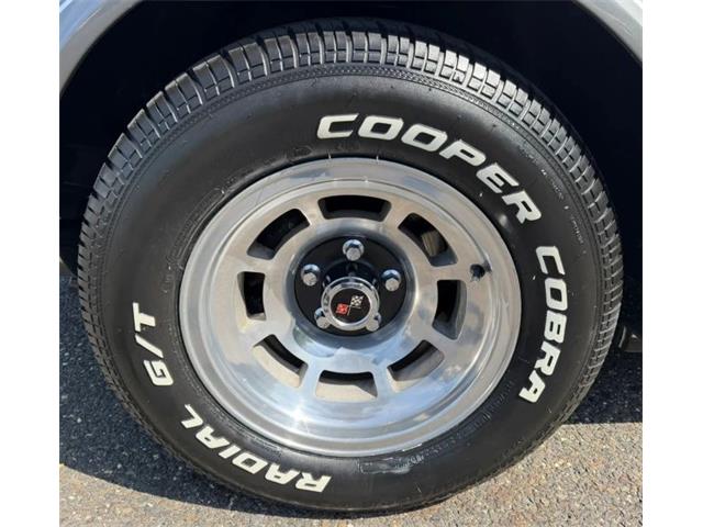 1978 Chevrolet Corvette (CC-2069661) for sale in Woodbury, New Jersey