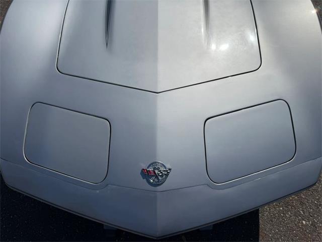 1978 Chevrolet Corvette (CC-2069661) for sale in Woodbury, New Jersey