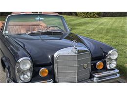 1967 Mercedes-Benz 250SE (CC-2069673) for sale in Southampton, New York