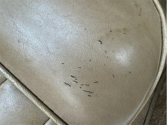 1965 Sunbeam Alpine (CC-2069693) for sale in Morgantown, Pennsylvania