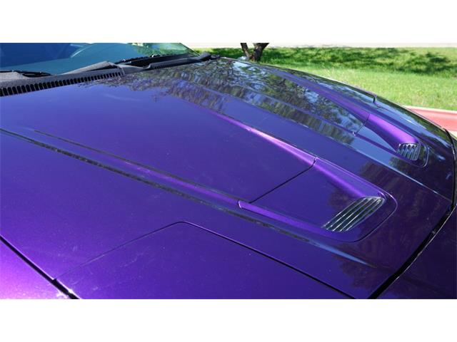1997 Pontiac Firebird (CC-2069735) for sale in Grapevine, Texas